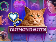 diamond cats